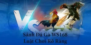Bí Quyết Cách Chơi Đá Gà WS168 Tại 888B Chuẩn Xác Hiệu Quả