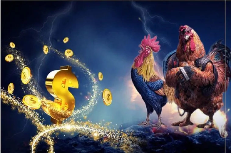 Bí Quyết Cách Chơi Đá Gà WS168 Tại 888B Chuẩn Xác Hiệu Quả