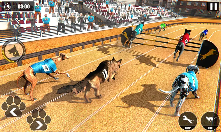 Bí Quyết Chơi Game Nhanh Đua Chó Tại 888B Thắng Lớn